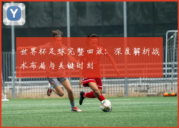 世界杯足球完整回放：深度解析战术布局与关键时刻