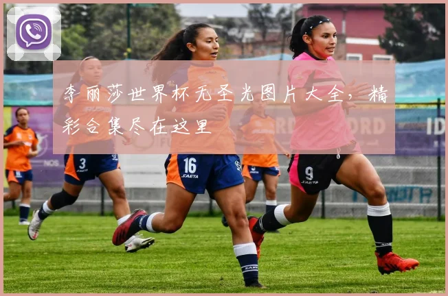李丽莎世界杯无圣光图片大全，精彩合集尽在这里