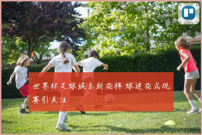 世界杯足球娱乐新花样 球迷花式观赛引关注