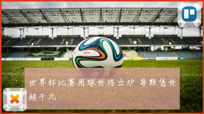 世界杯比赛用球价格出炉 每颗售价超千元