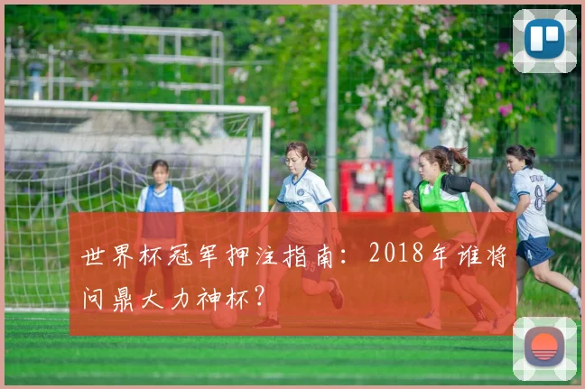 世界杯冠军押注指南：2018年谁将问鼎大力神杯？