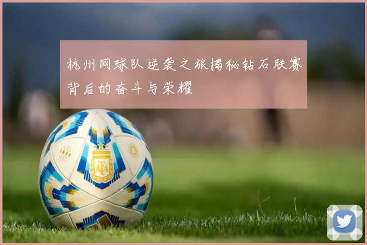 杭州网球队逆袭之旅揭秘钻石联赛背后的奋斗与荣耀