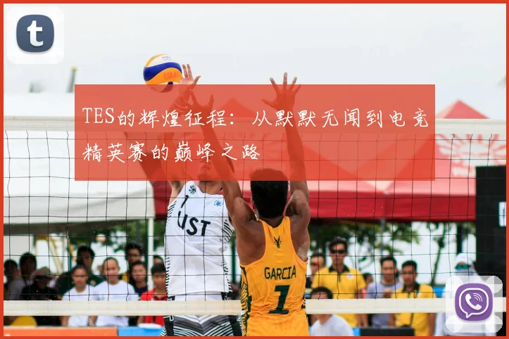 TES的辉煌征程：从默默无闻到电竞精英赛的巅峰之路