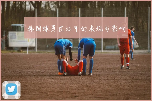 韩国球员在法甲的表现与影响