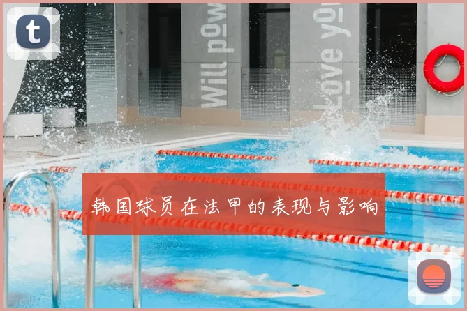 韩国球员在法甲的表现与影响